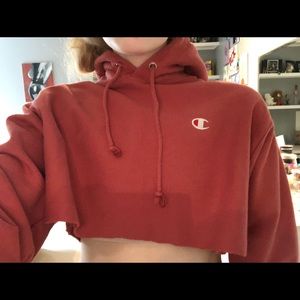 Champion Reverse Weave Cropped Hoodie